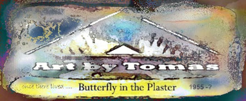 Butterfly in Plaster art by Tomas Karkalas