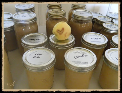 Canned Apple
