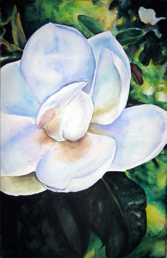 [magnolia-final.jpg]