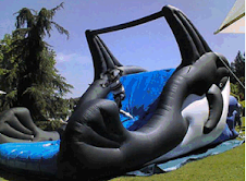inflable ballena