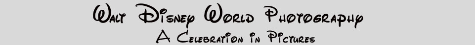 Walt Disney World Pictures & Photography