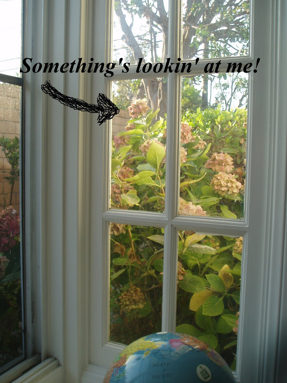 [September+2008+042+(3).jpg]