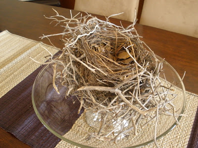 bird's nest