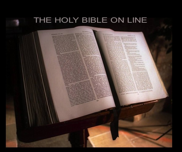 LA BIBLIA ON LINE