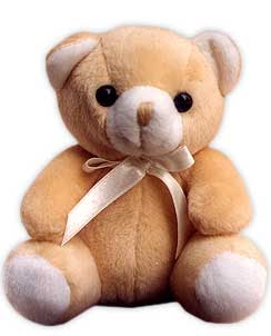 teddy bear comel