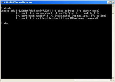 putty command prompt options plus