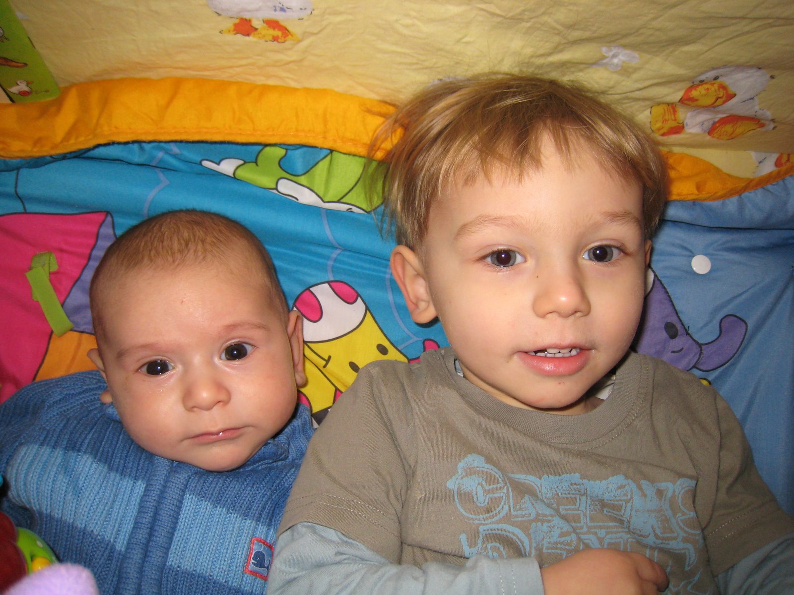 [IMG_0906.JPG]