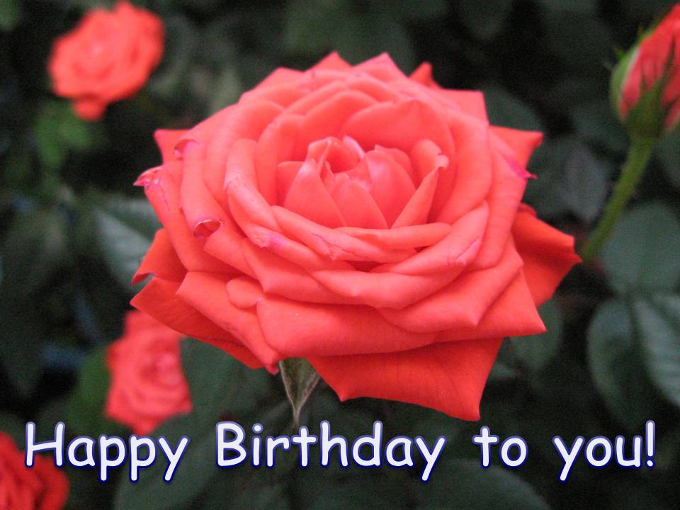 Just download and follow the instructions to make a Flower Birthday Card.