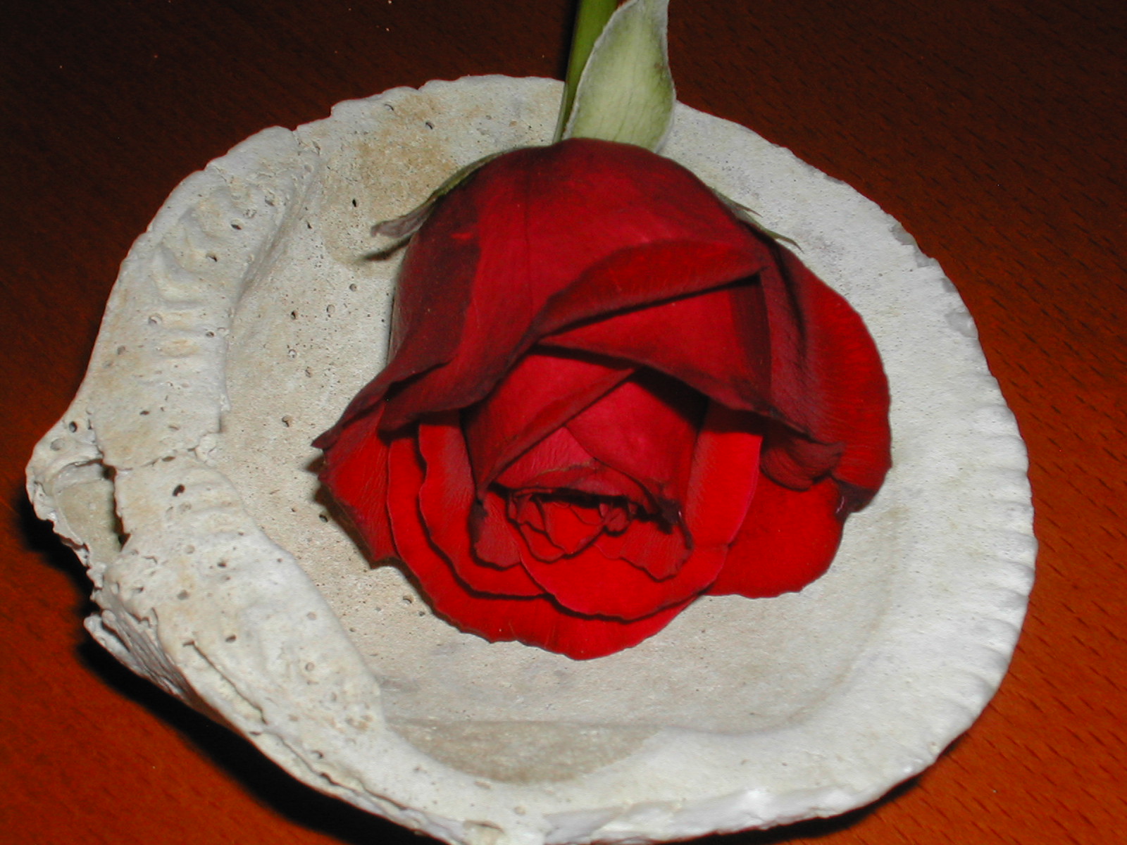 [DSCN9880.JPG]