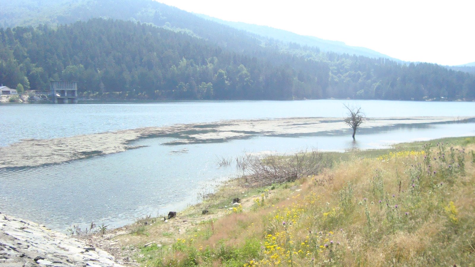 [DSC03641.JPG]