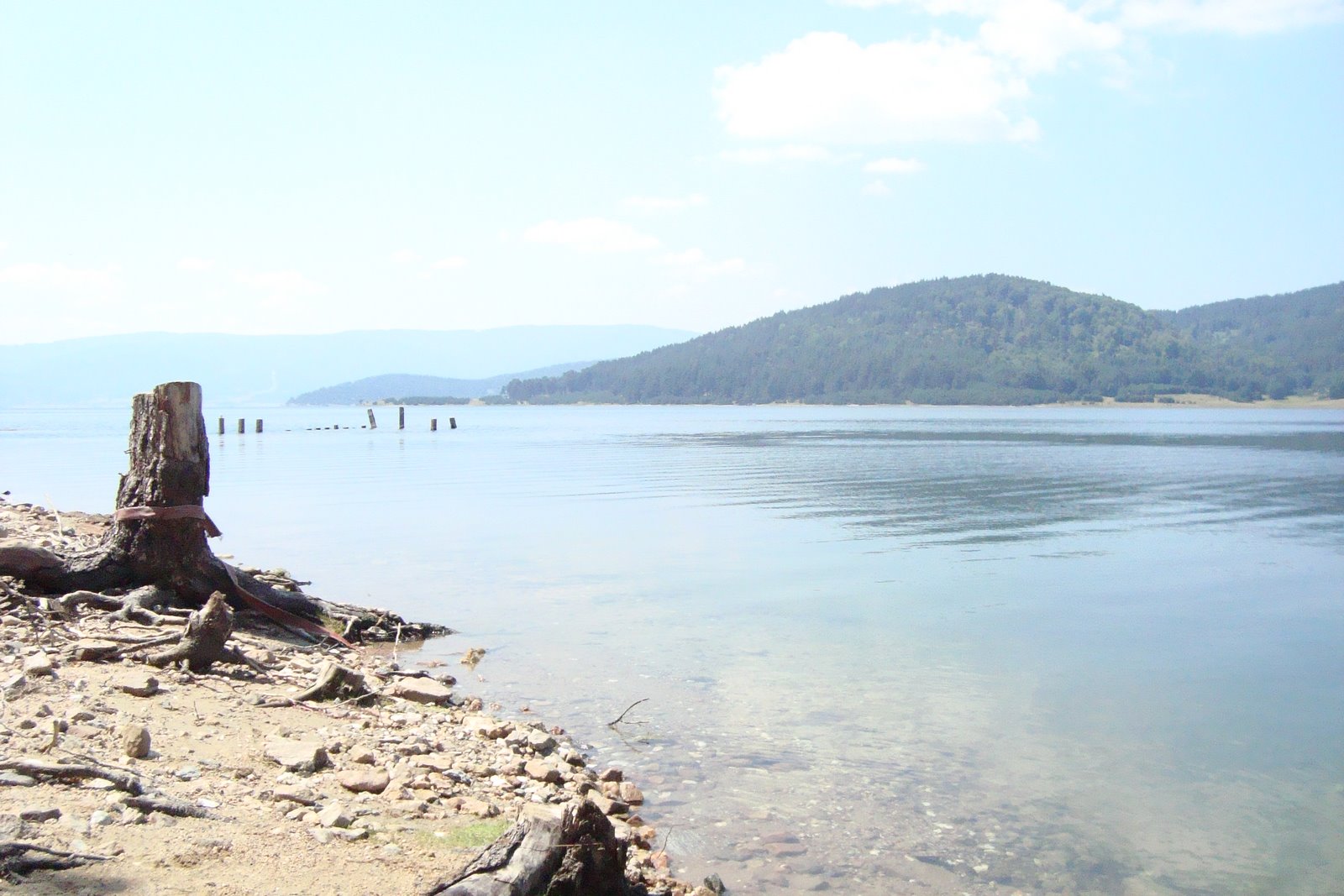 [DSC03492.JPG]