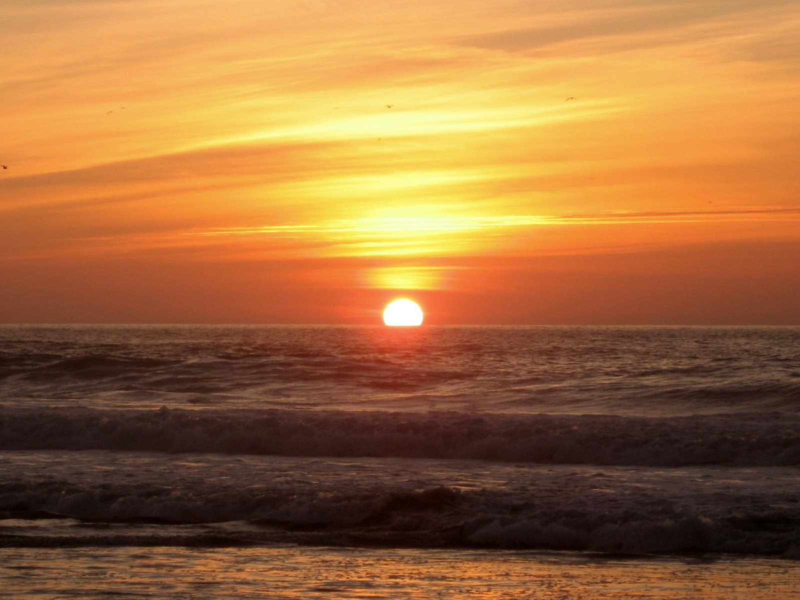[IMG_3734.jpg]