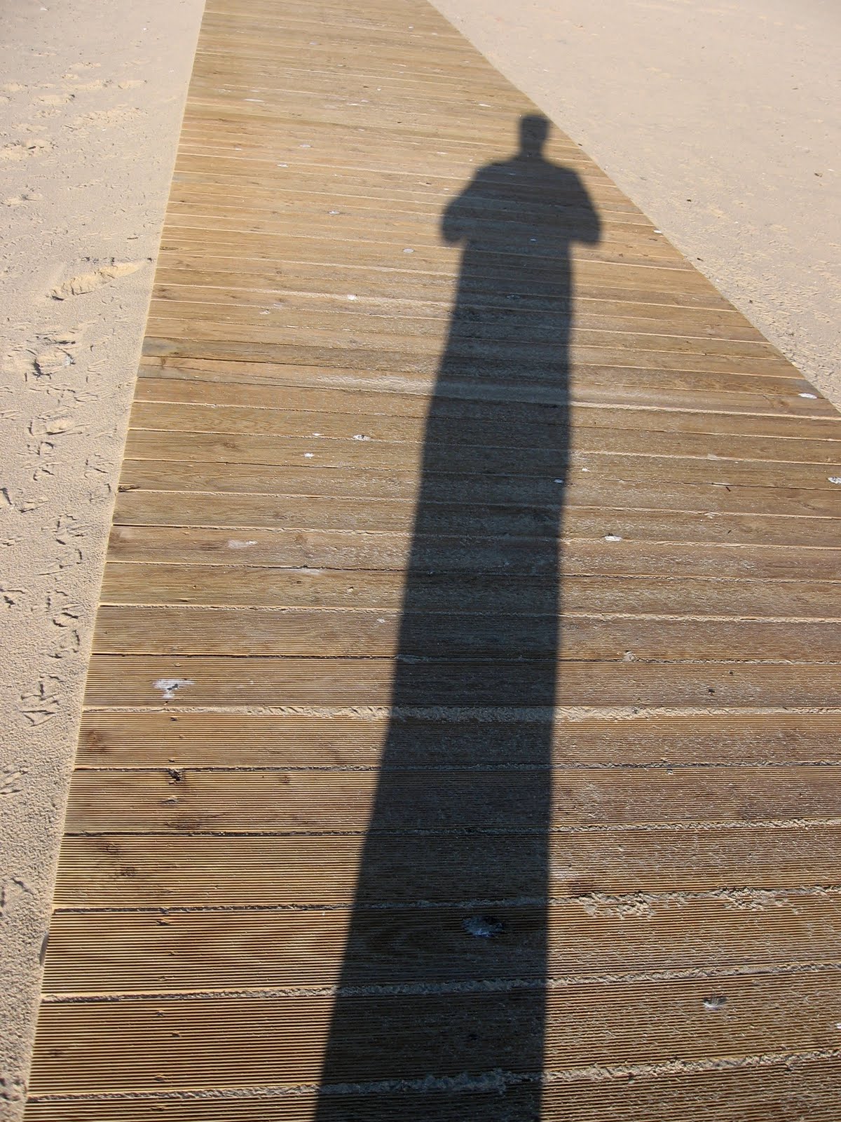[IMG_0168.jpg]