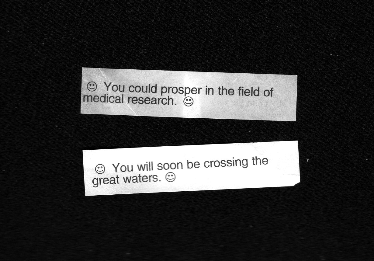 [fortune+cookies.jpg]