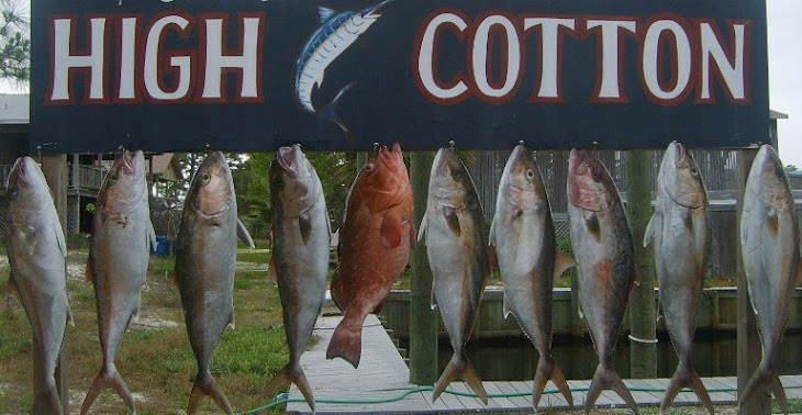 Deep Sea Fishing Aboard The High Cotton