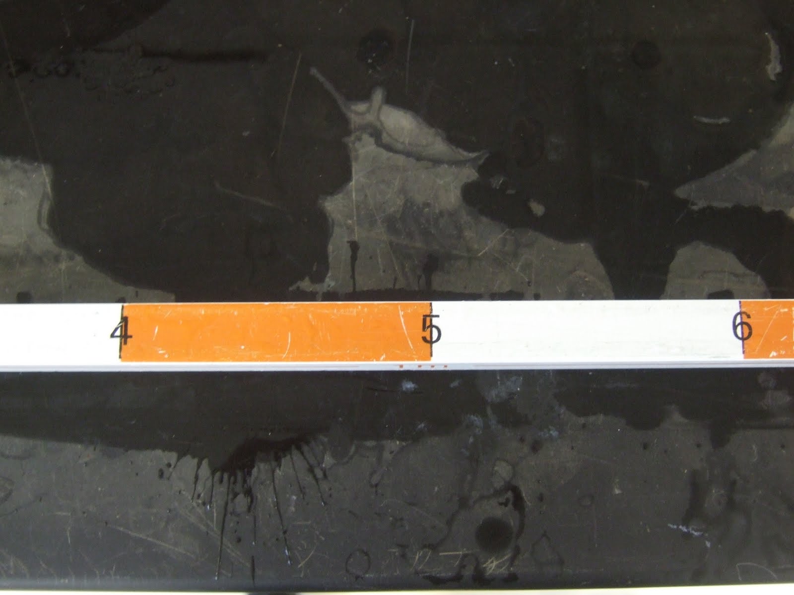 Demo of the Day How Long is a Meter Stick?