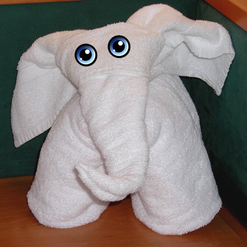 [Elephant_Front_eye.jpg]