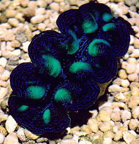 [13-20060901121450.jpg.gif]