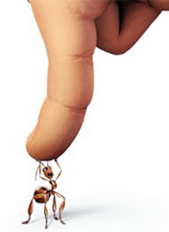 [ant_bully1230833134.jpg]