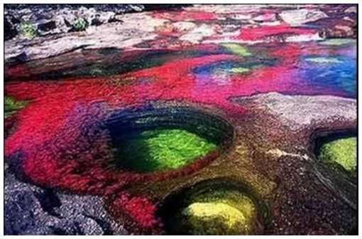 [Cano-Cristales-5.jpg]