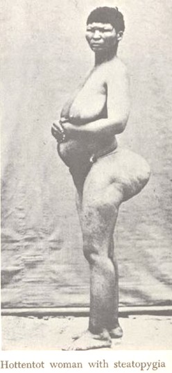 Hottentot_woman_with_steatopygia.jpg