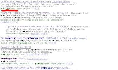 Trik Cara Terindex Google Kurang dari Sehari