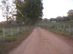 Fazenda Rozeta - São Gonçalo do Sapucaí , MG