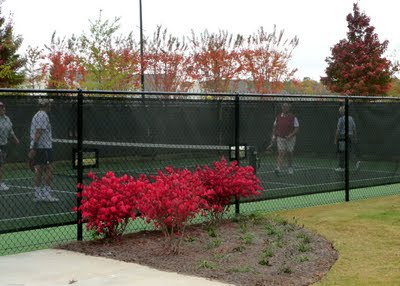 Pickle Ball Courts