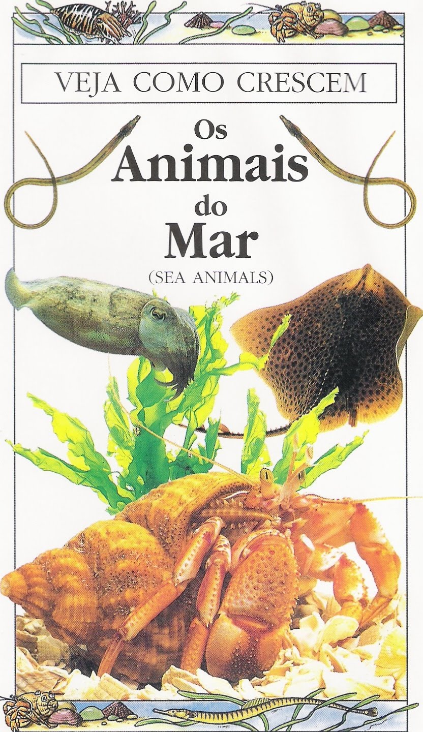 [IMAGEM+CASSETE+MAR.JPG]