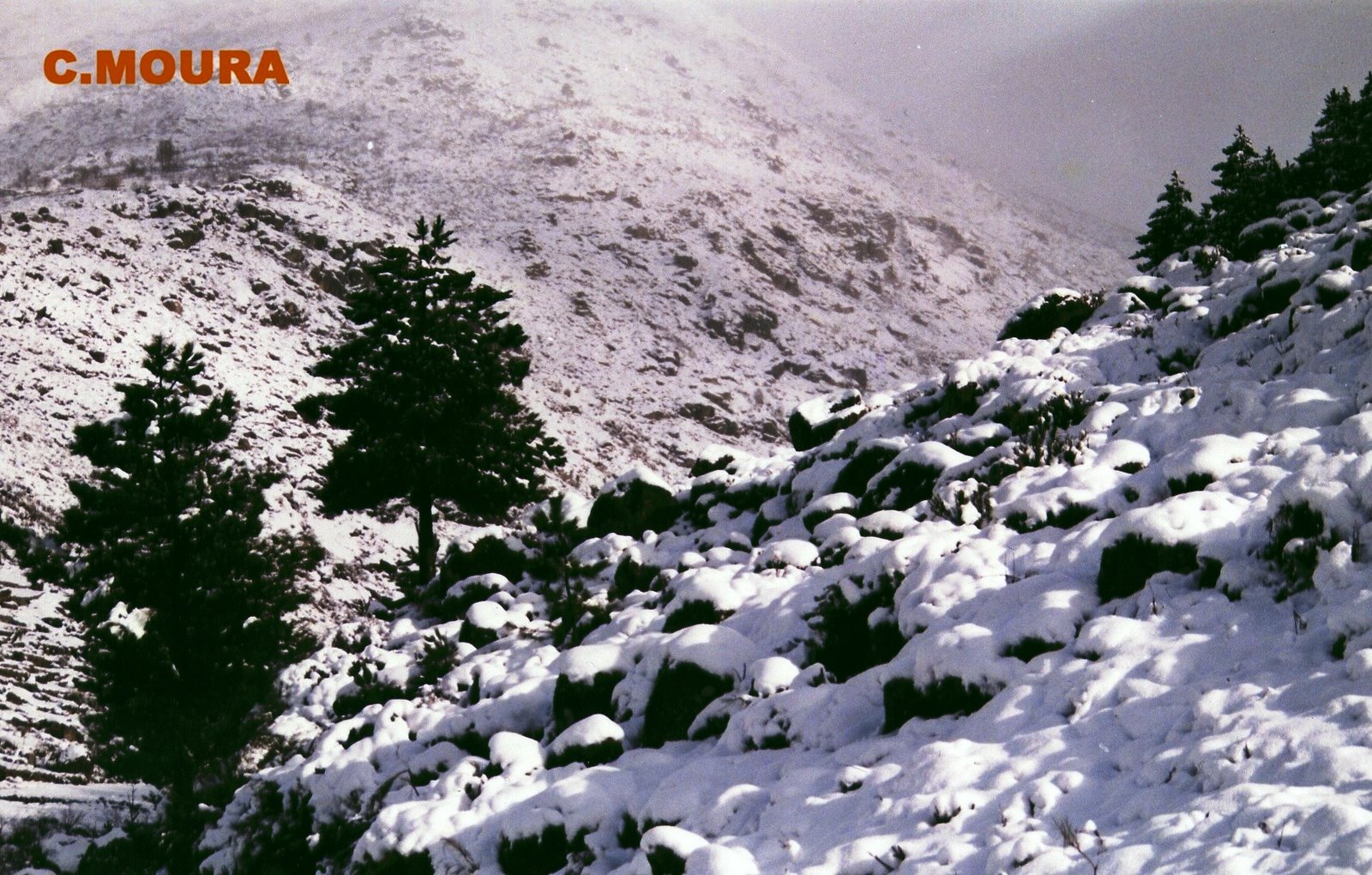 [encosta+branca.JPG]