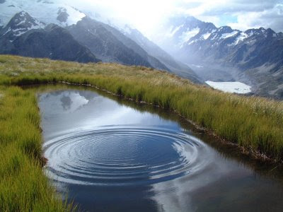 Pond Ripples