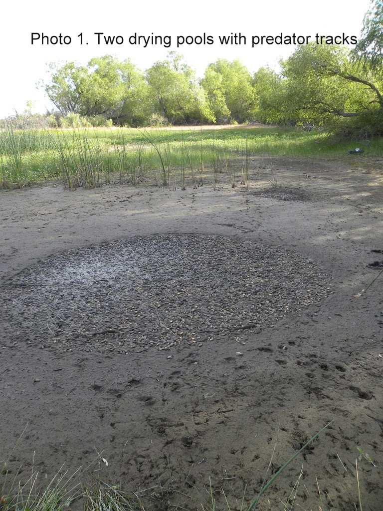 [DSCN0460.jpg]