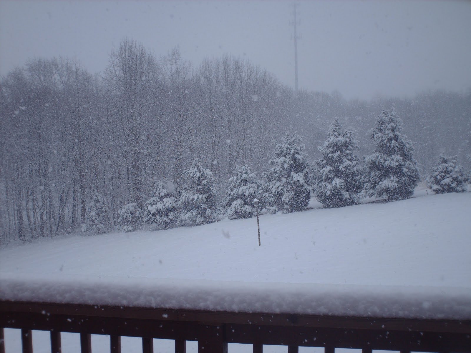 [Feb+6,+2010,+Bedford+snow+#3+002.JPG]