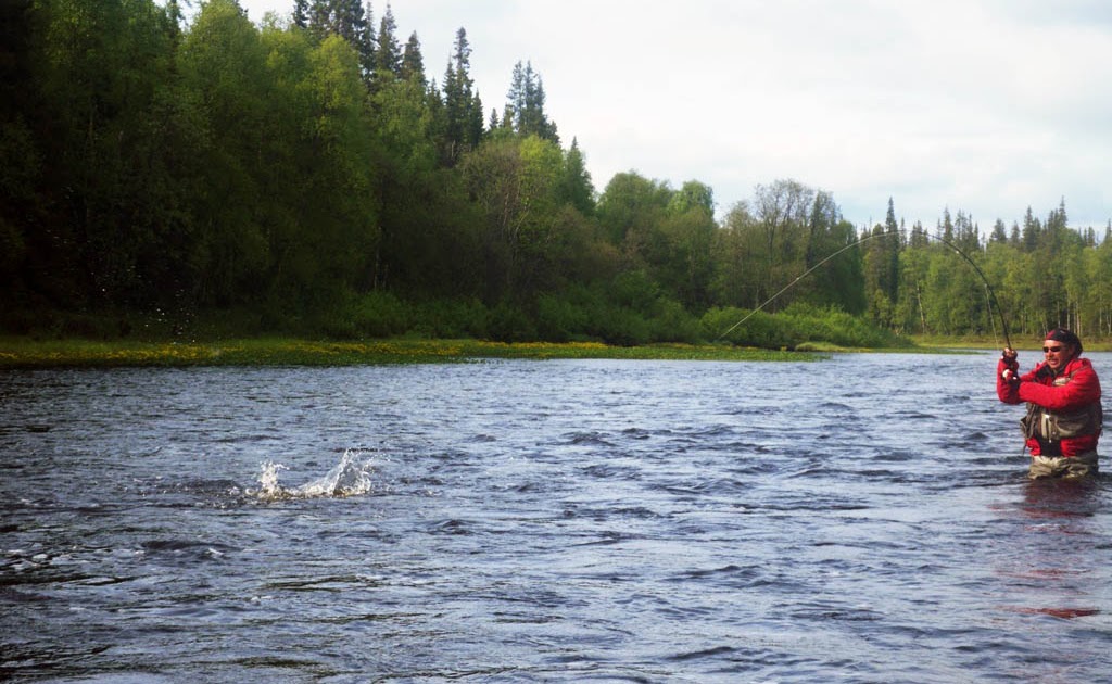 Chavanga Fish Blog Dry fly salmon fishing.