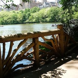 A Walk in the Ramble, Central Park