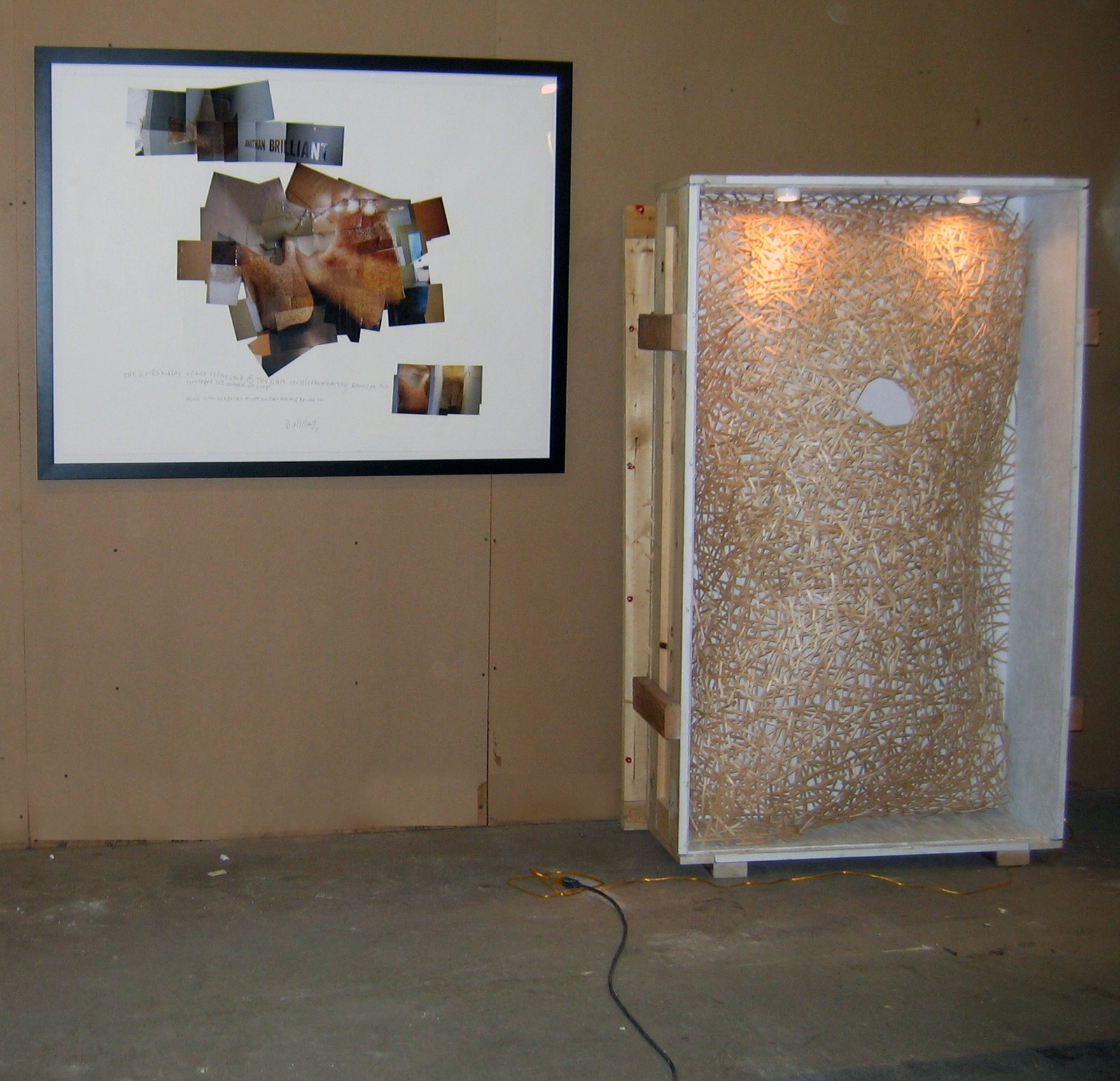 [bridge+install.jpg]