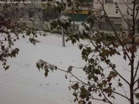 [Neve_em_elvas2.JPG]