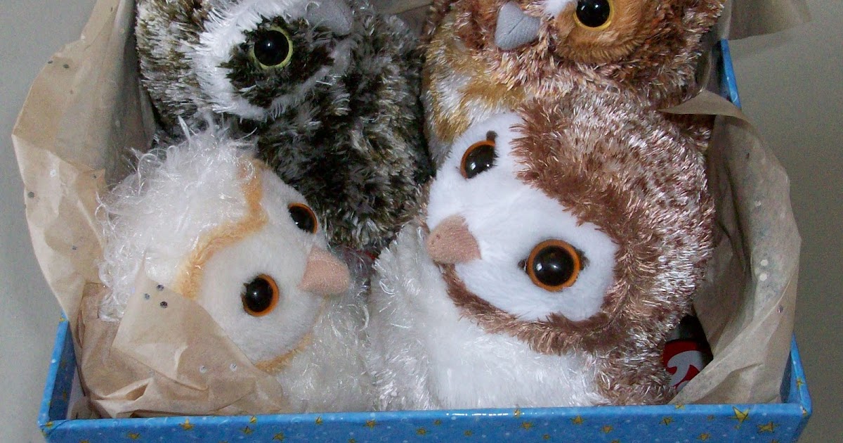 The Sassy Pack Rat Box of Owls