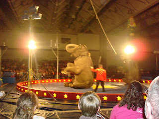 jersey helps support the father daughter dance syrian shrine circus high Shriners+circus El jebel has been presenting the shrinesclick here to town,