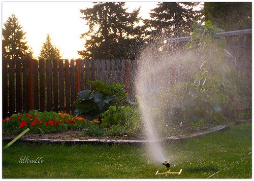 [watering+my+garden.jpg]
