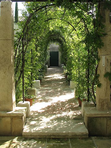 Visual Insights: Dennys Photo Gallery: Garden Views