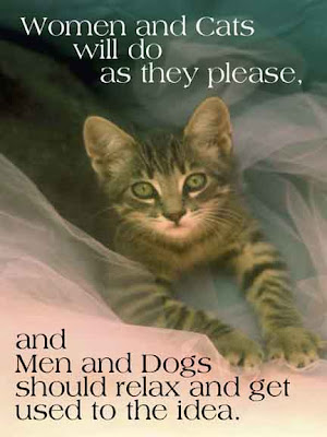 From Denny: What is cute about these cat quotes is they say more about us 