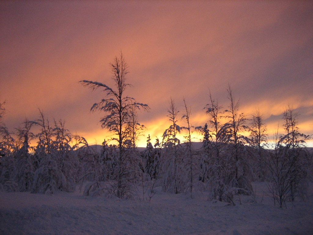 [20070110.JPG]