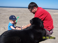 All of my boys playing in the sand.