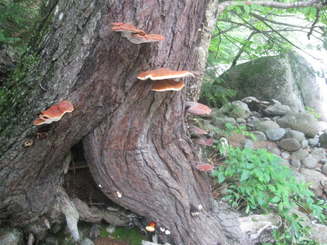 [IMG_5247.JPG]