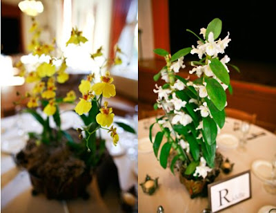 orchid centerpieces for weddings