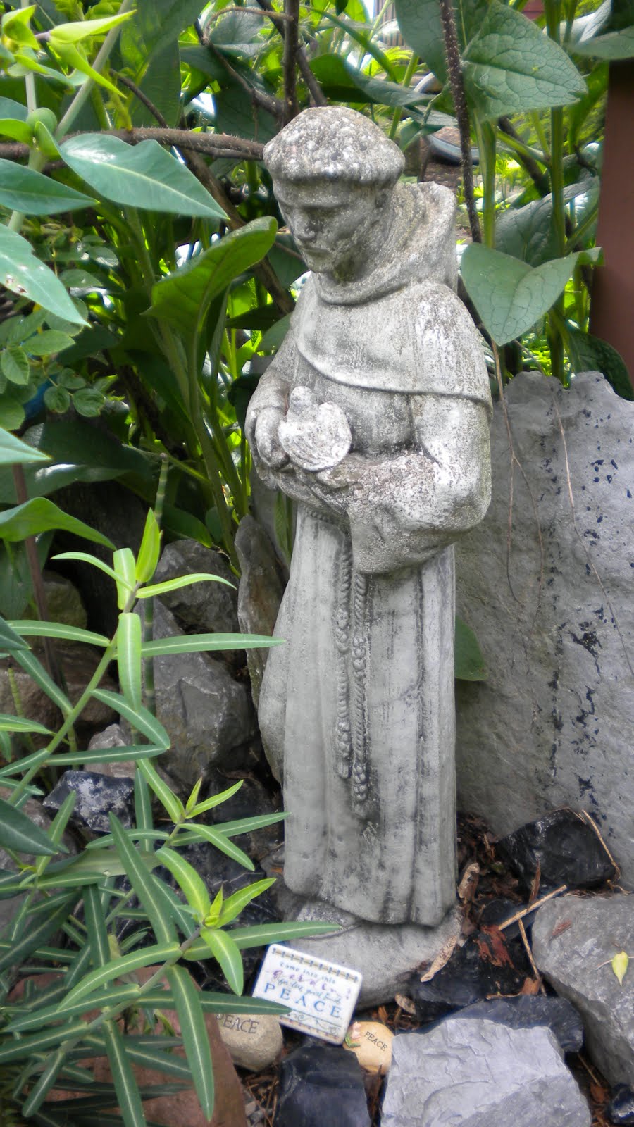 Rosemary's Sampler: Saints in my Garden -Saint Francis