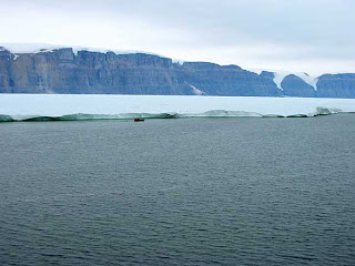 iceberg-glaciar-petterman-groenlandia