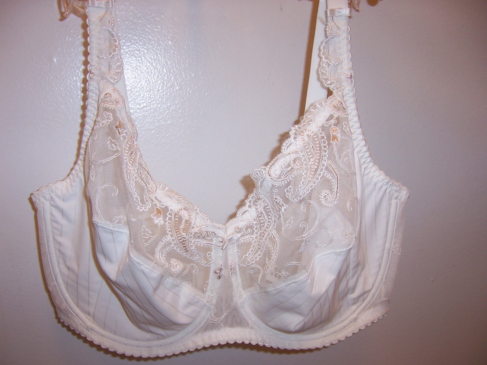 Macy’s, Chantelle & the D+ Cup