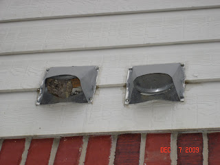 dryer wasp vent nest located exterior